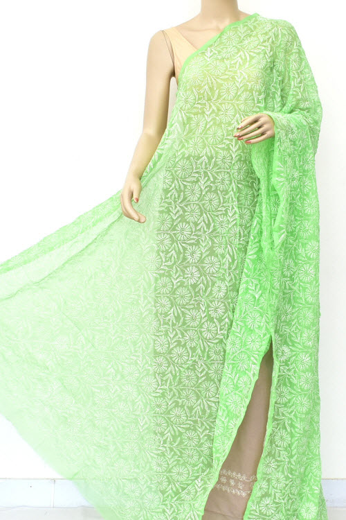 Pista Green Hand Embroidered Allover Tepchi Work Lucknowi Chikankari Dupatta (Faux Georgette) Extra Long 18069